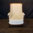 French Louis XVI Armchair or Bergère à la Reine Chair 19th Century Exceptional Carving