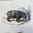 French Antique 18th Century "L'Hippopotame Male" Hippopotamus Engraving Hand Colored Signed Artwork