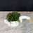 Painted Stone Swan Planter