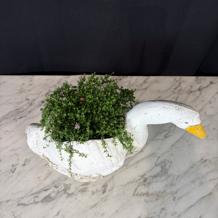 Painted Stone Swan Planter