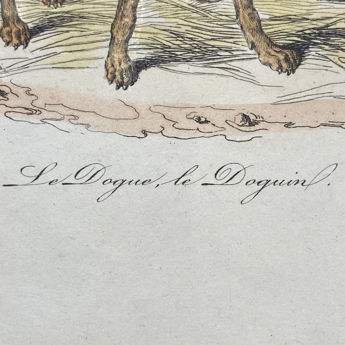 French Antique 18th Century "Le Chion de Berger" Dog Engraving Hand Colored Signed Artwork