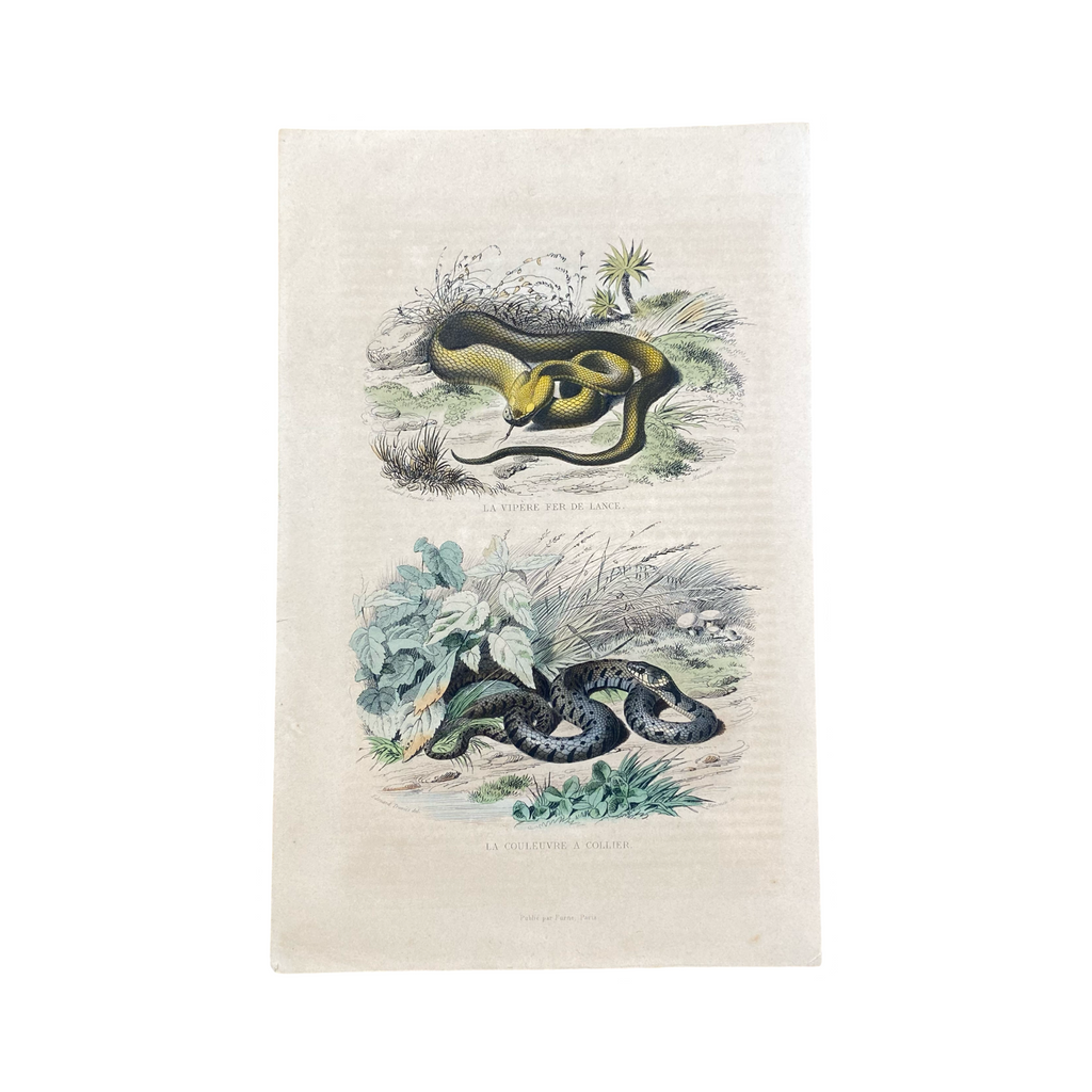 159F6158-F7E2-4F3E-BF49-