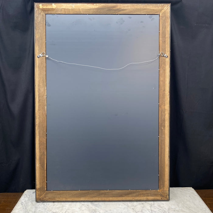 Elegant French Empire Ebony Black and Gold Carved Giltwood and Gilt Gesso Mirror