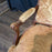 Pair of French Louis XV Carved Armchairs with Cut Velvet Mohair Upholstery