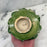 Antique French Purple Violet Porcelain Flower Bouquet with Green Leaves