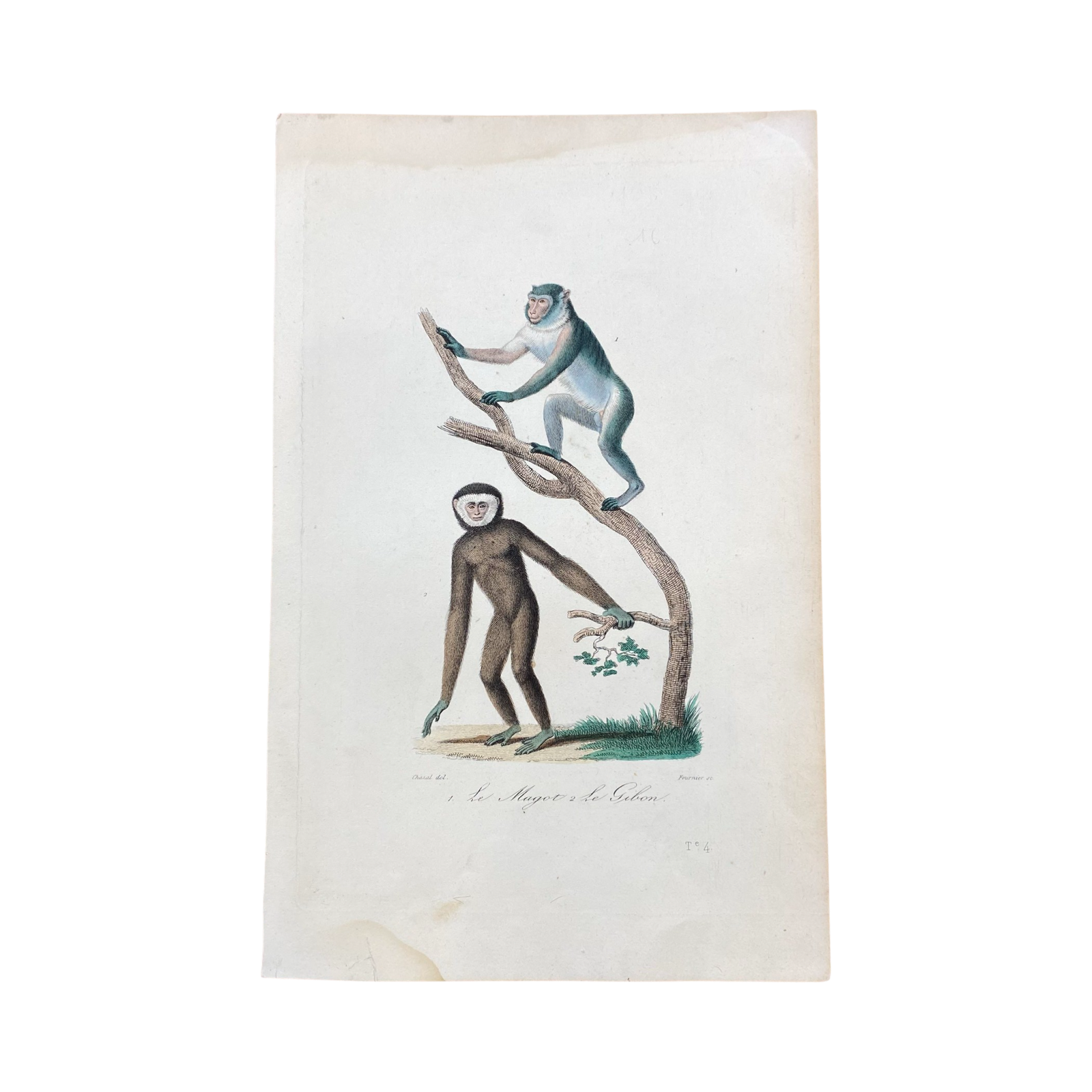 French Antique 18th Century 