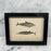 French Antique 18th Century Dolphin Engraving Hand Colored Artwork