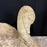 Early British Stone Swan Planter Large