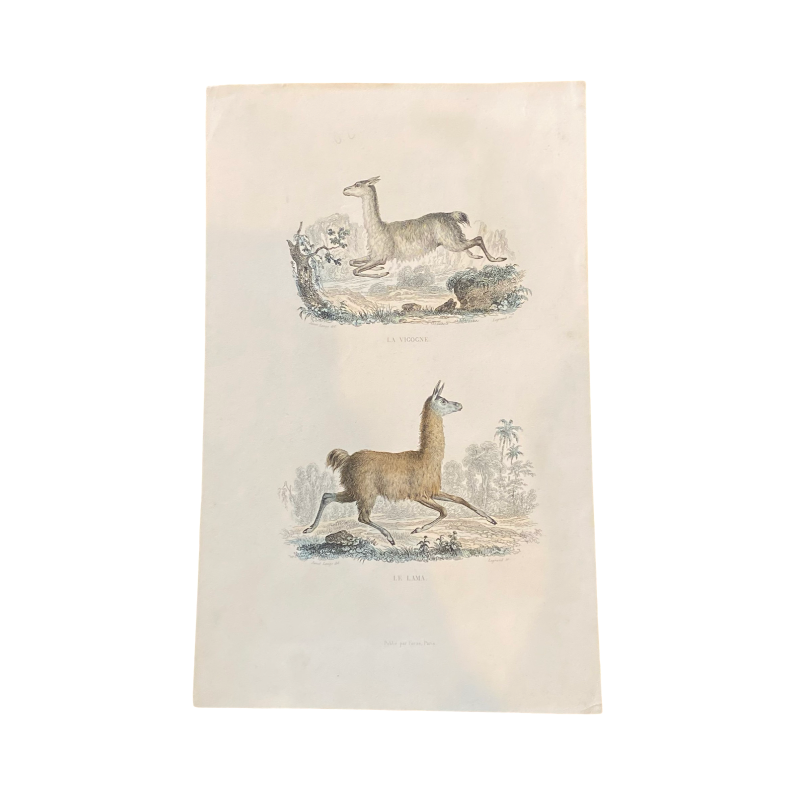 French Antique 18th Century 