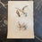 French Antique 18th Century “L’Emerillon” Bird Engraving Hand Colored Artwork