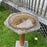 Neoclassical Octagonal Stone Bird Bath for the Garden