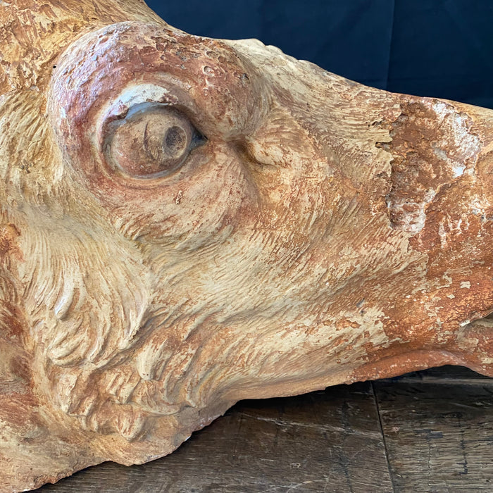 Detailed French Cow Head (Tete de Vache) Sculpture From Butcher's Shop or Boucherie Advertisement - Life Size Architectural Bust