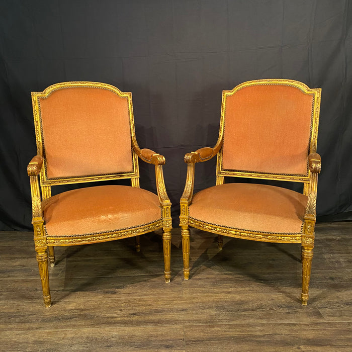 Antique French Louis XVI Salon Suite | Sofa or Canapé, Pair of Armchairs or Fauteuils & Pair of Side Chairs