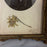 Antique French Ornate Gilt Metal Photo Frame with Original Portrait & Pressed Edelweiss