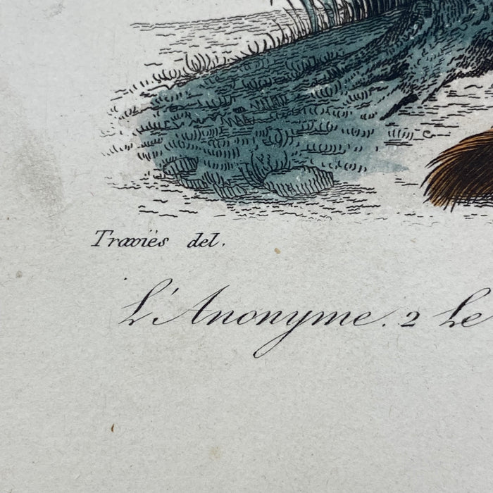 French Antique 18th Century "L'Anonyme" Animal Engraving Hand Colored Signed Artwork