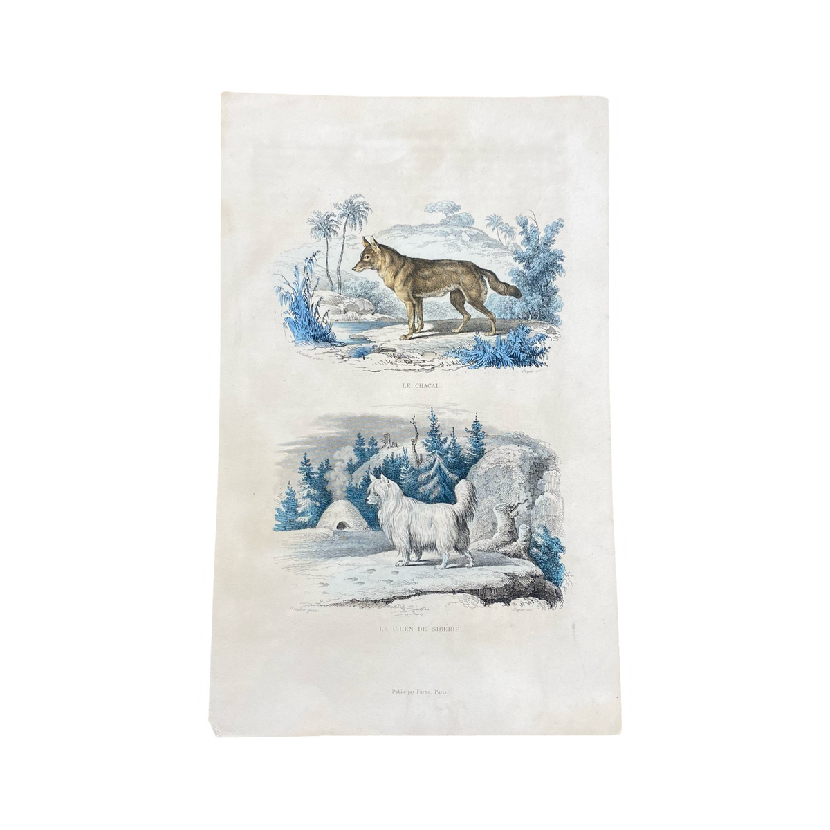 French Antique 18th Century 