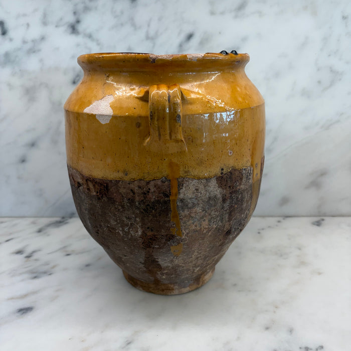 French Yellow Confit Pot #9064
