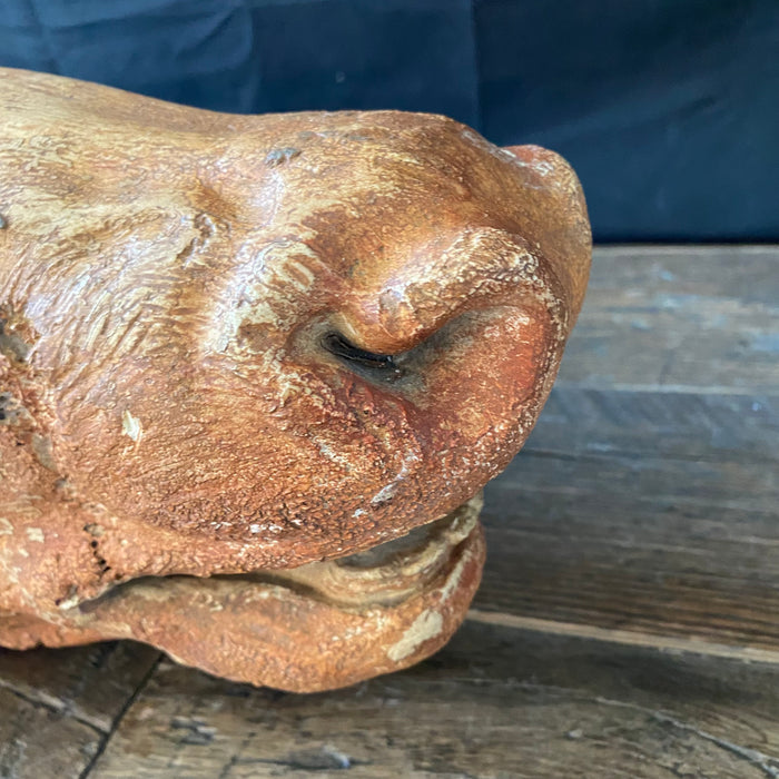 Detailed French Cow Head (Tete de Vache) Sculpture From Butcher's Shop or Boucherie Advertisement - Life Size Architectural Bust