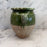 French Confit Pot with Green Glaze from the 19th Century #9067