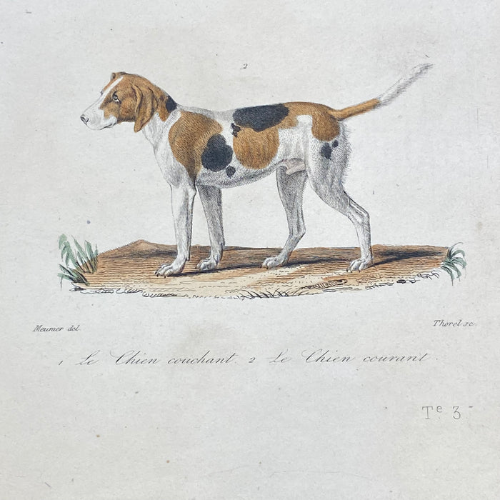 French Antique 18th Century "Le Chien Couchant" Dog Engraving Hand Colored Signed Artwork