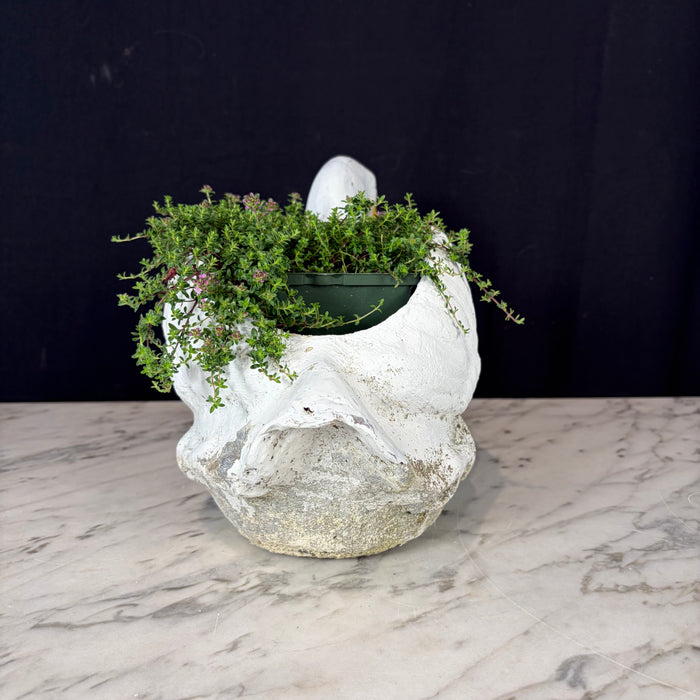 Painted Stone Swan Planter