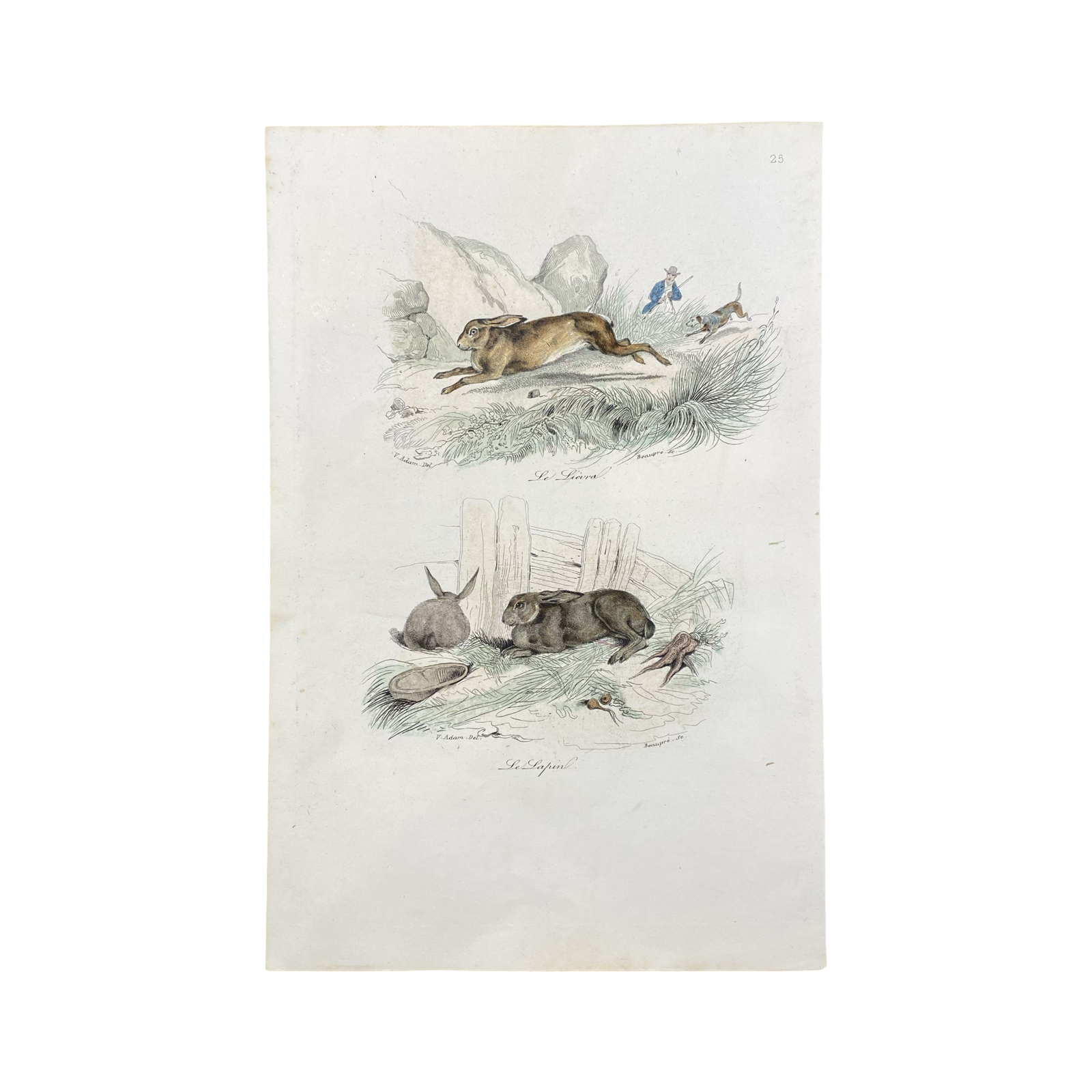 French Antique 18th Century 