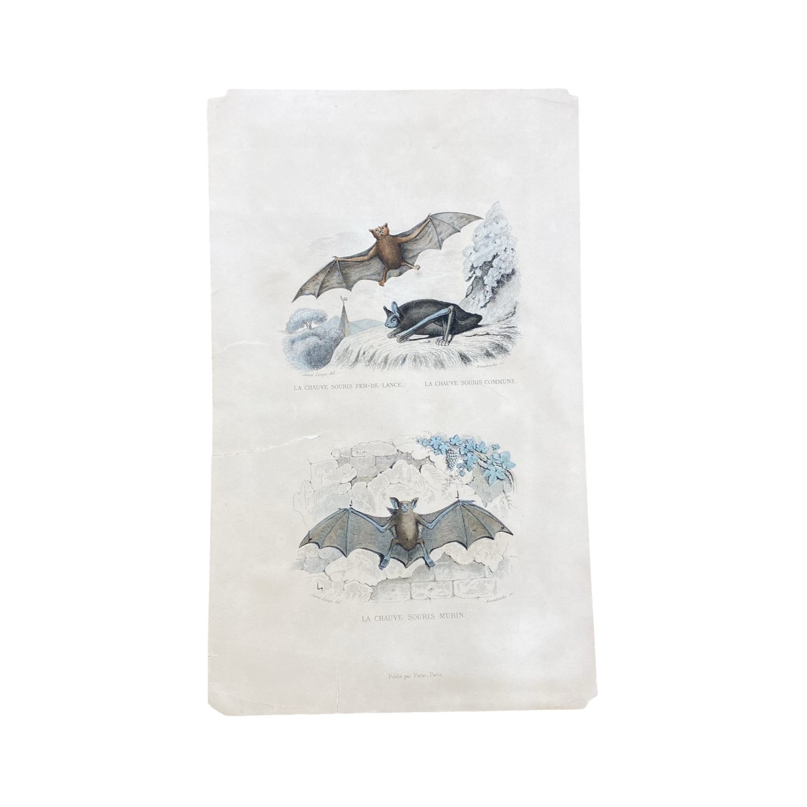 French Antique 18th Century 