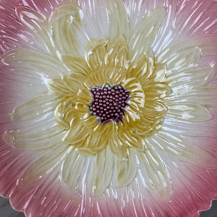 French Orchies Majolica Pink Daisy Floral Plate Circa 1890