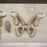 Butterfly Artwork “Attacus Atlas” in Silver Frame
