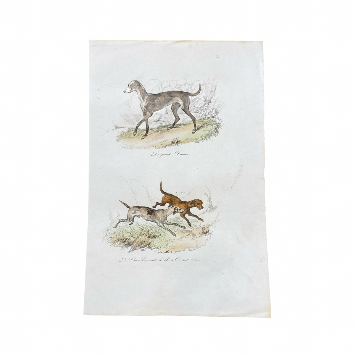 French Antique 18th Century 