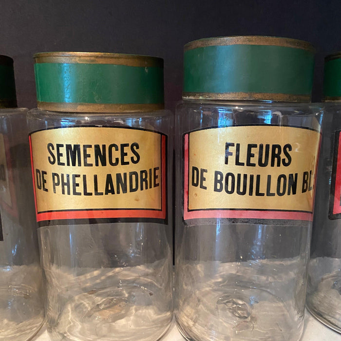 French Apothecary Jar Set of 8