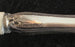 Small Antique French Silver/Bone Brush