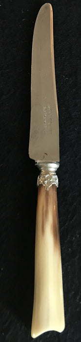 Antique silver knife set with horn handles in a box