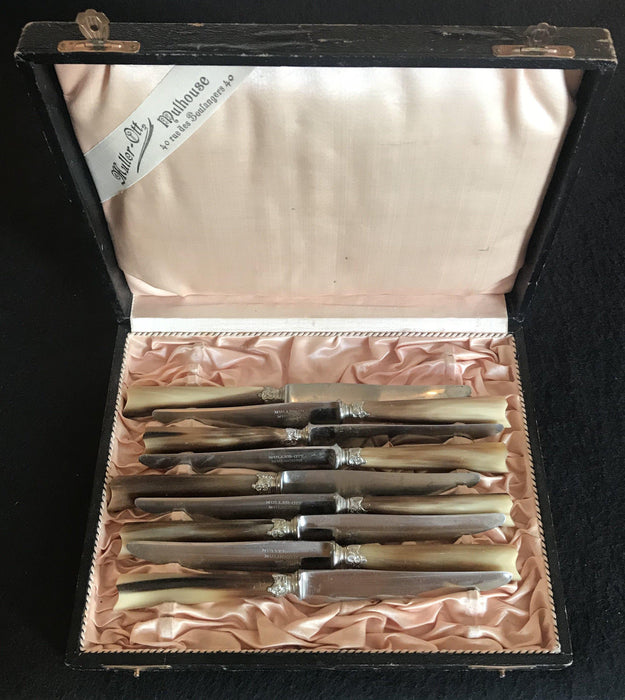Antique silver knife set with horn handles in a box