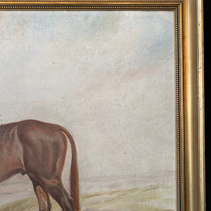 Guy Crosley: Fine Equestrian Sporting Horse Portrait Oil Painting (5861)