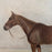 Guy Crosley: Fine Equestrian Sporting Horse Portrait Oil Painting (5861)