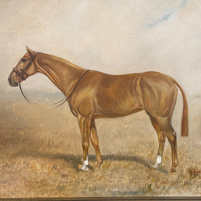 Guy Crosley: Fine Equestrian Sporting Horse Portrait Oil Painting (5858)