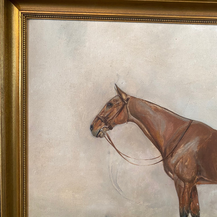 Guy Crosley: Fine Equestrian Sporting Horse Portrait Oil Painting (5860)