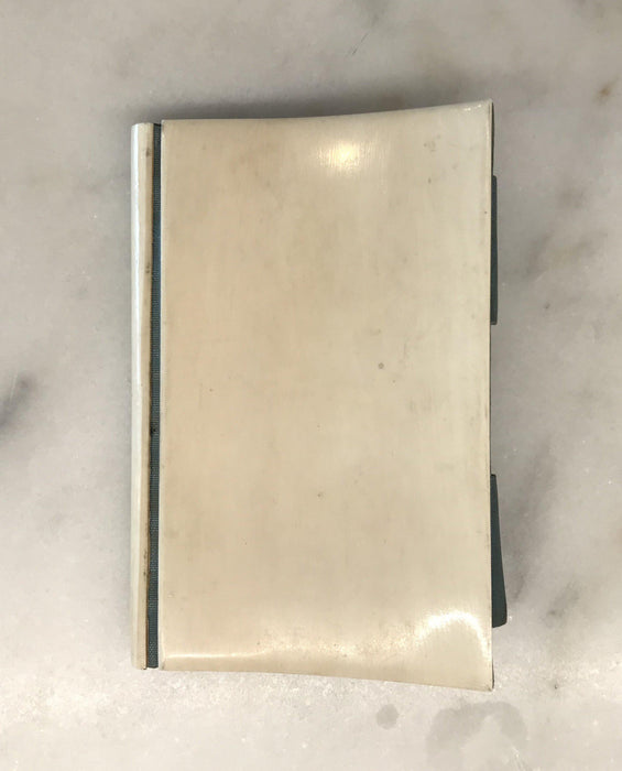 For sale: French (Bone?) Notebook Dated 1879